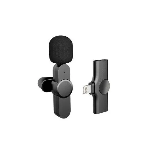 میکروفن بی سیم-  Wireless Microphone